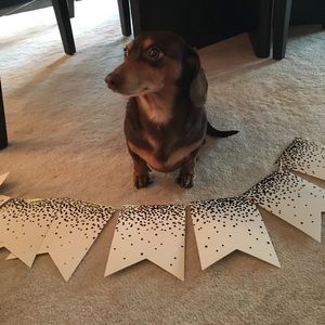 Meet your Posher, Gabriella